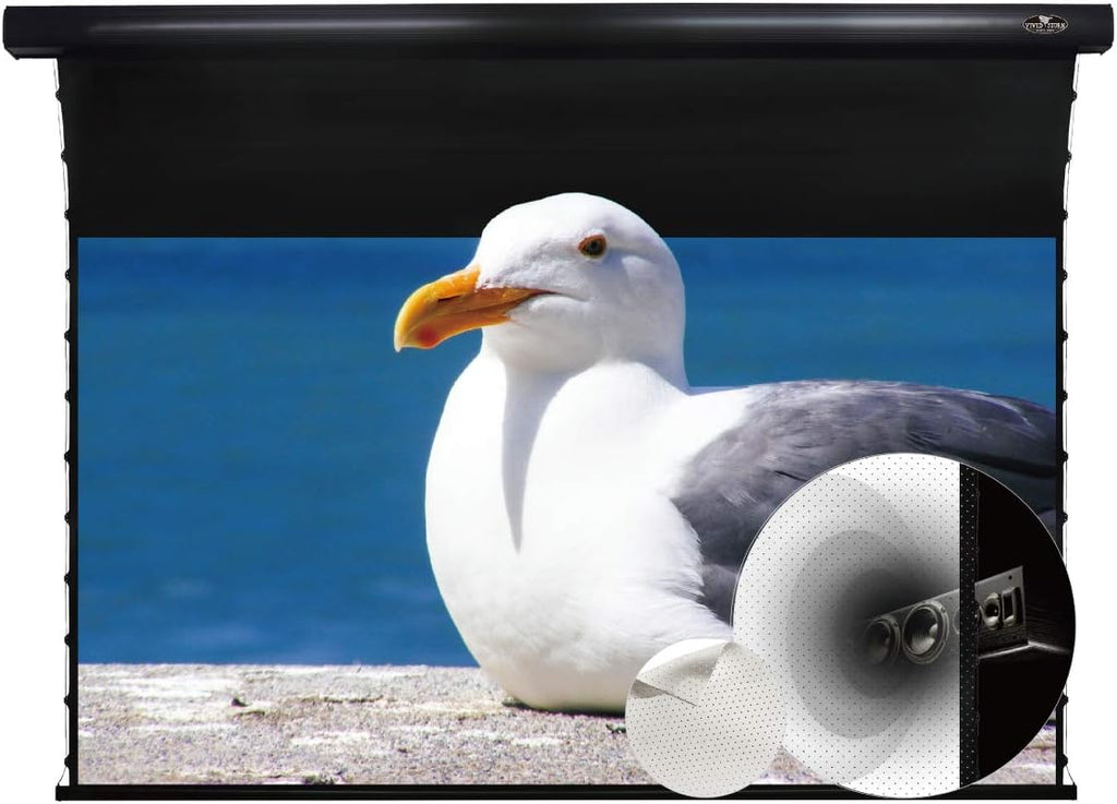 Motorized Tension Projector Screen N531