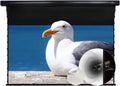 Motorized Tension Projector Screen N531