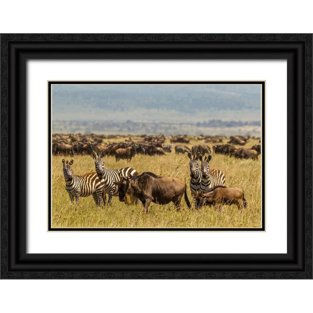 Black Ornate Wood Framed Art Print D884
