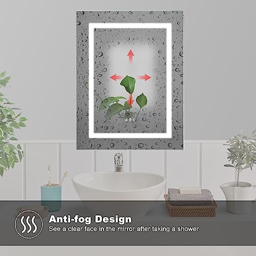 20 X 26 LED Medicine Cabinet with Mirror U4650