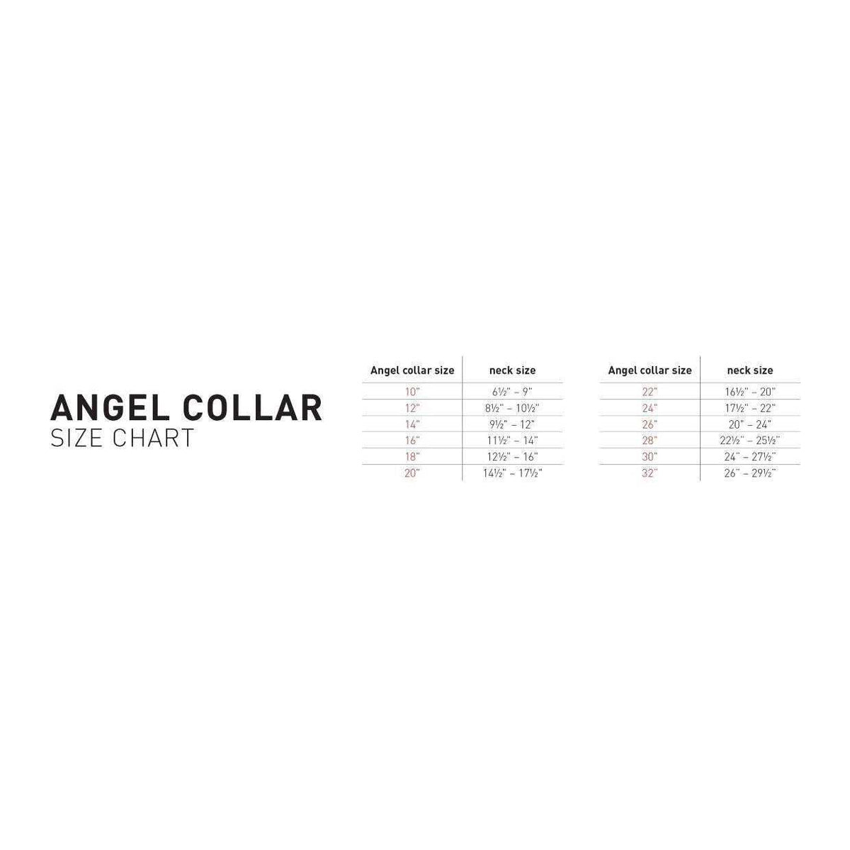 Dog Collar P3458