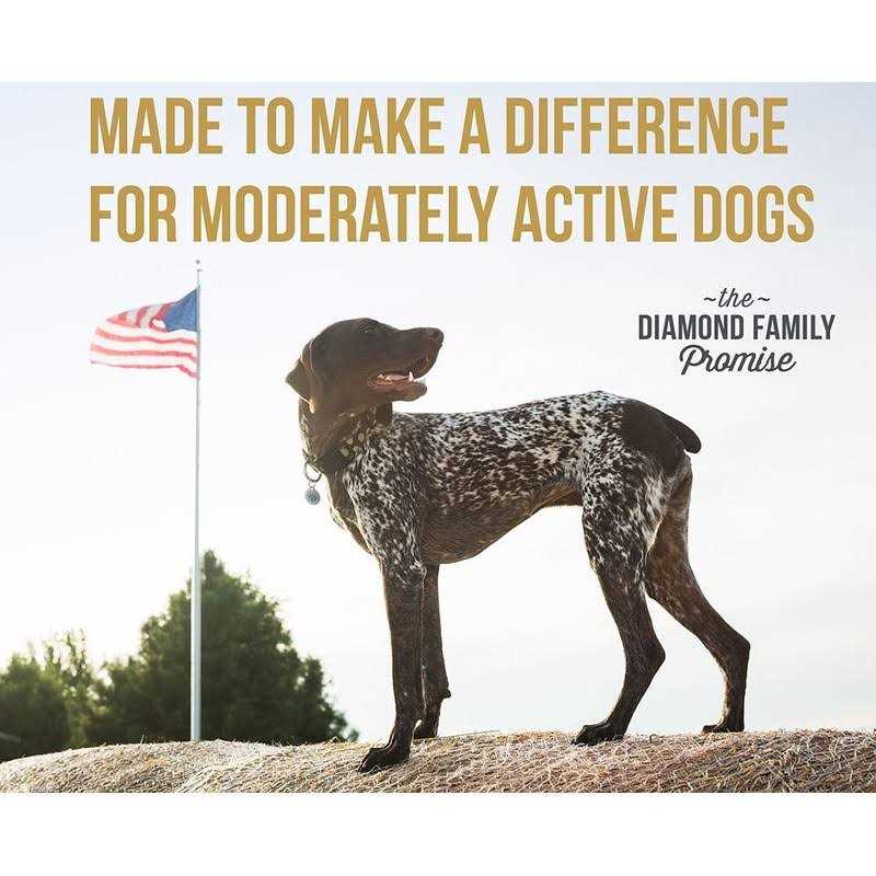 Dog Food F52302