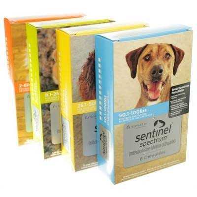 Spectrum for Dogs L253
