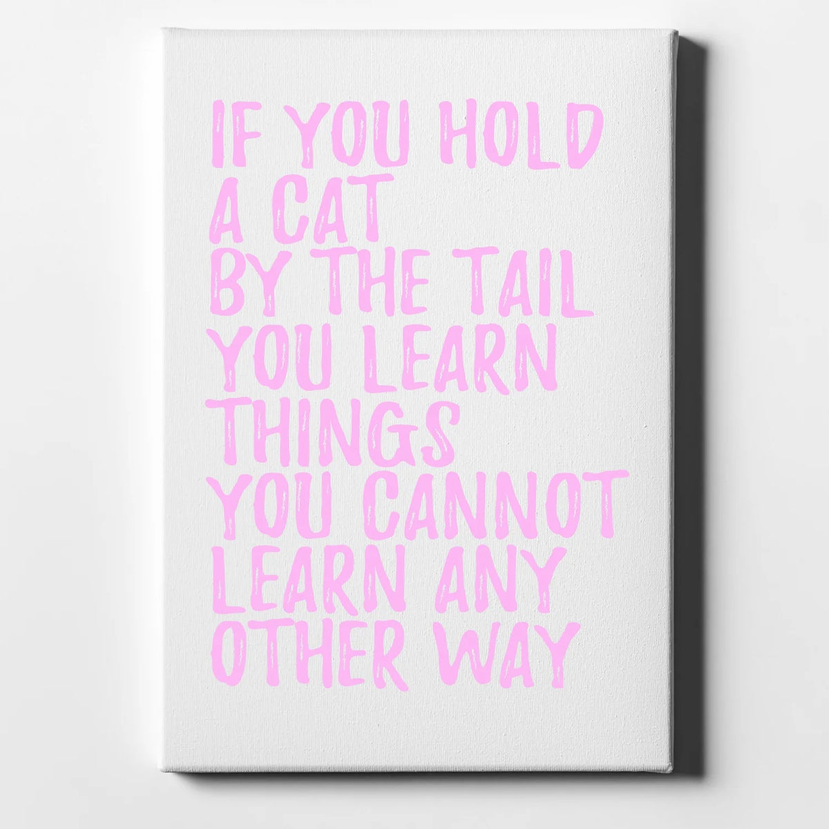 Decorative Canvas Wall Art H44927