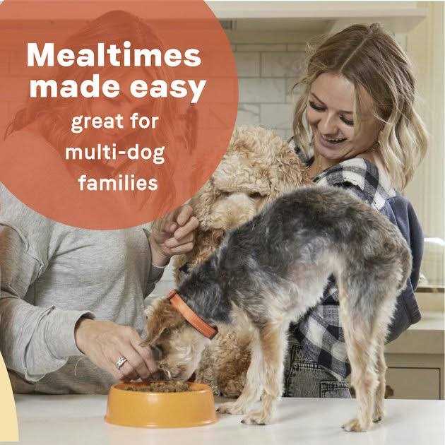 Dry Dog Food Lamb Meal & Rice I721