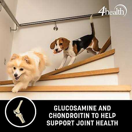 4health Wholesome Grains Adult Lamb and Rice Formula Dry Dog Food C283118