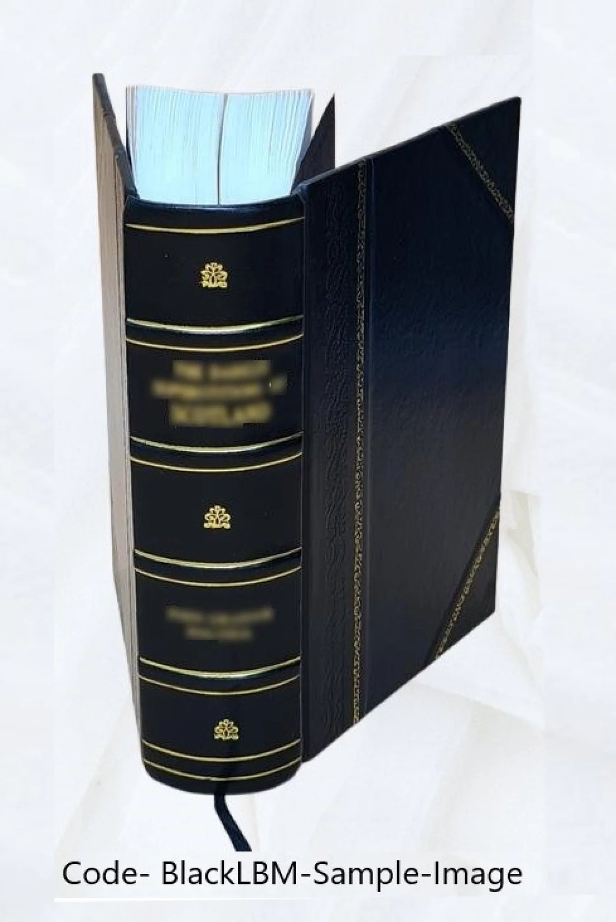 Leather Bound G46016