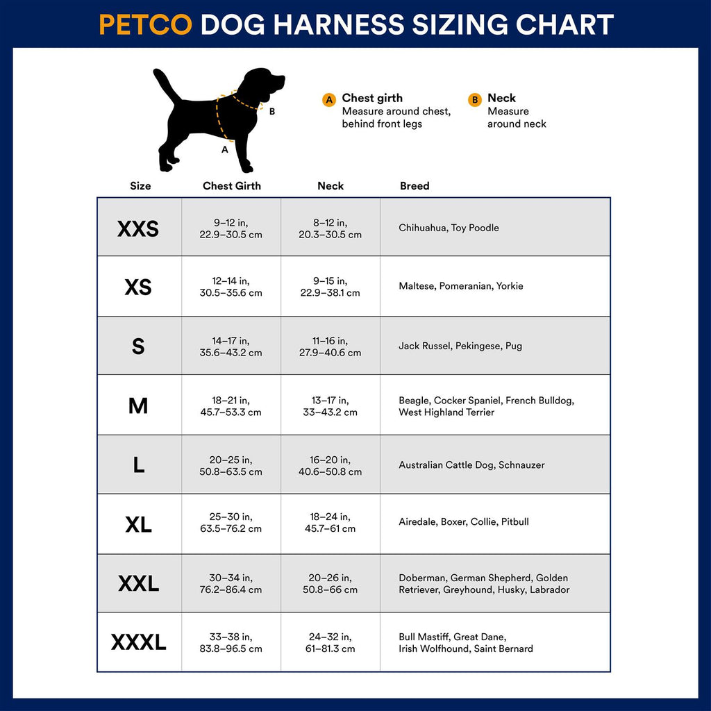 Big Black Dog Harness F279529