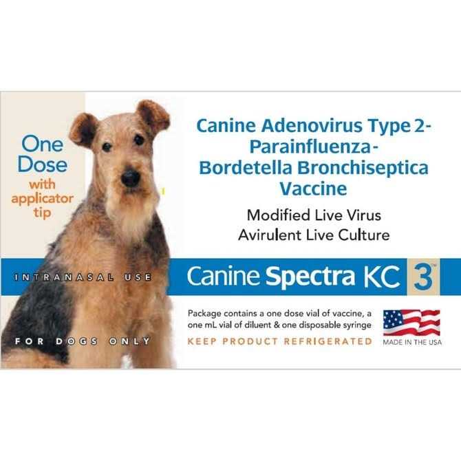 Pet Supplies Y640