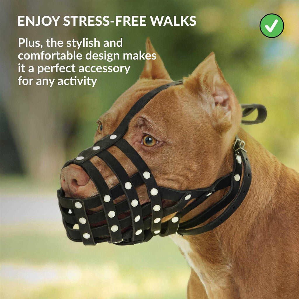 Dog Muzzle Genuine Leather H888549