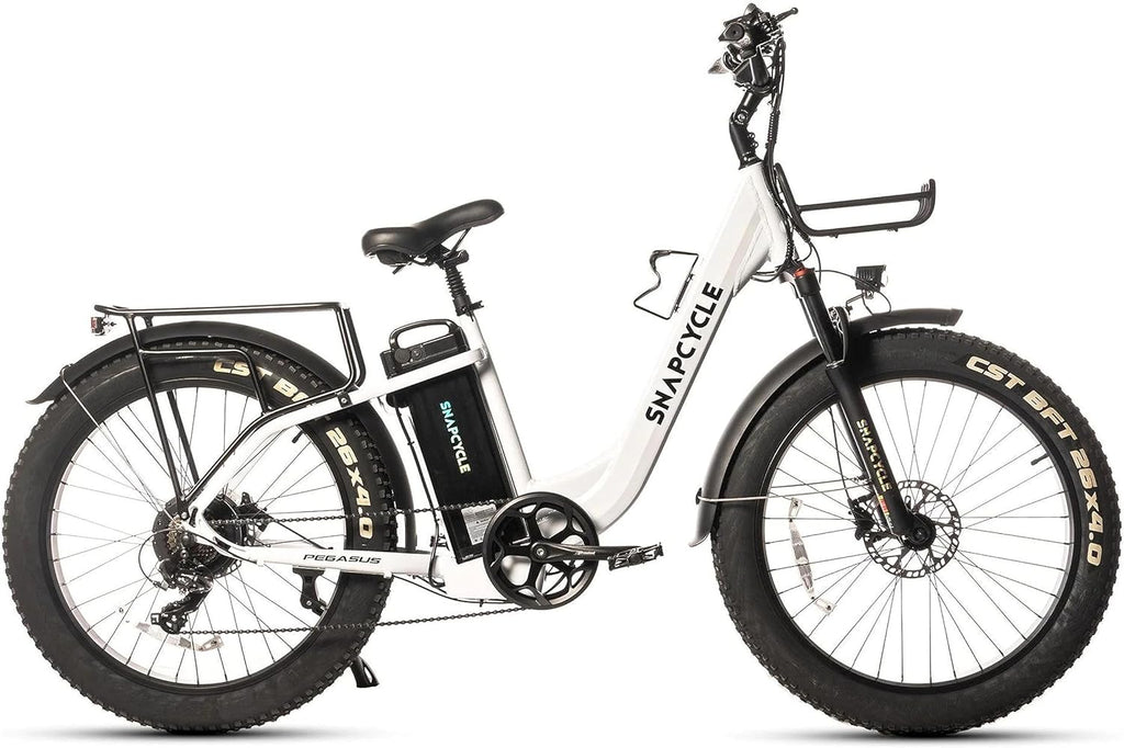 1000W Peak Motor 26" x 4.0 Fat Tire Step-Thru Ebike with 48V 15AH Removable Battery Q791278