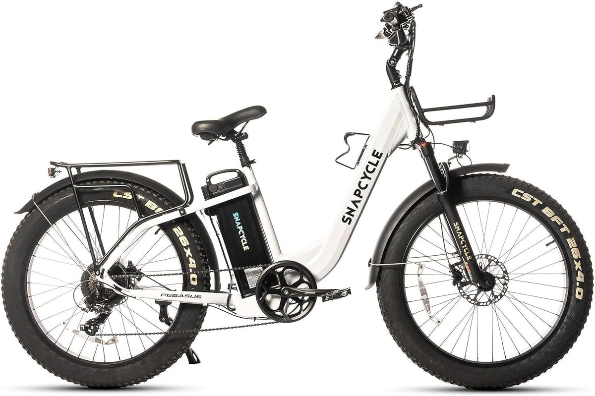 1000W Peak Motor 26" x 4.0 Fat Tire Step-Thru Ebike with 48V 15AH Removable Battery Q791278