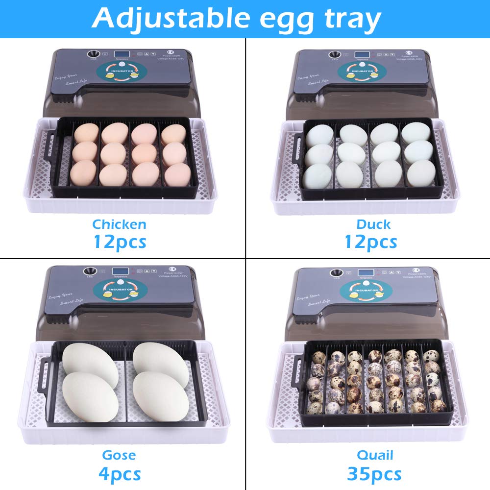 9-35 Egg Incubator Automatic Egg Turner LED Candler Z685