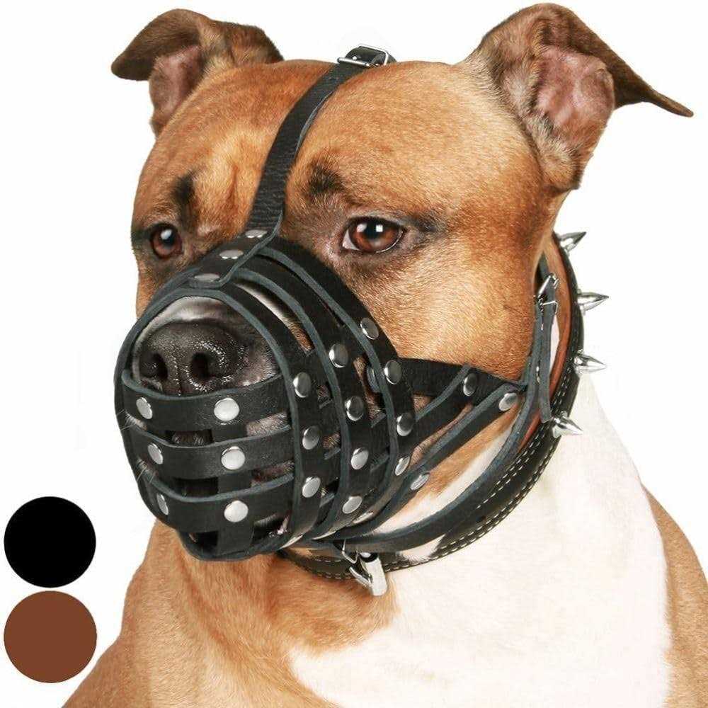 Dog Muzzle Genuine Leather H888549