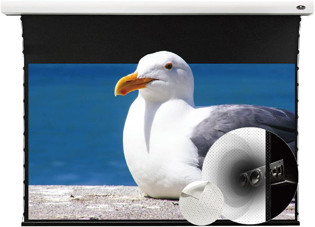 Motorized Tension Projector Screen N531