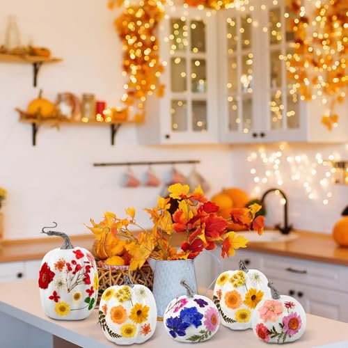 12 Pcs White Artificial Pumpkin and 140 Pcs Dried Flowers DIY Crafts Kit N81715
