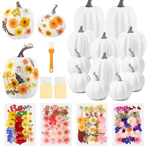 12 Pcs White Artificial Pumpkin and 140 Pcs Dried Flowers DIY Crafts Kit N81715
