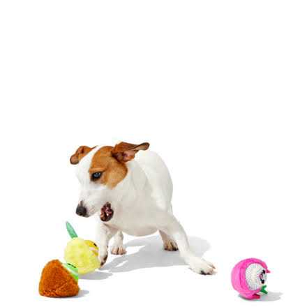 Dog Toys Squeaker Ball Toys H603520