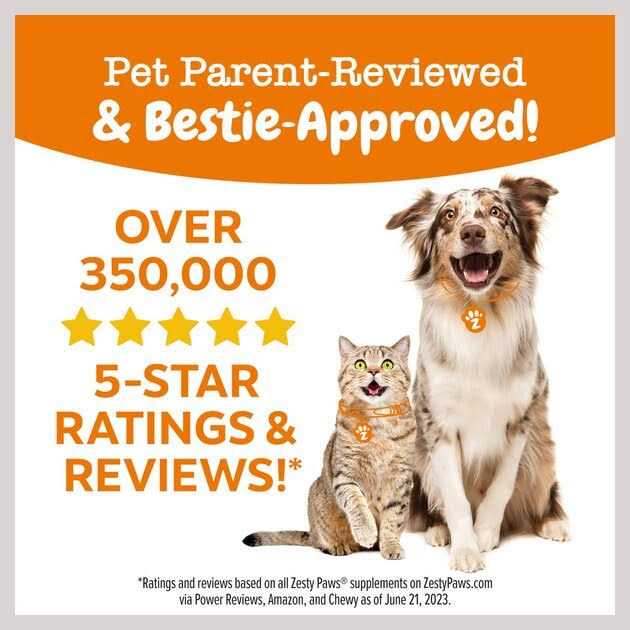 Chicken Soft Chews for Dogs K340570