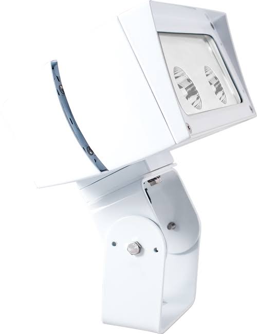 Future Flood 52W 4x4 277V Cool LED Trunnion on White Q992951