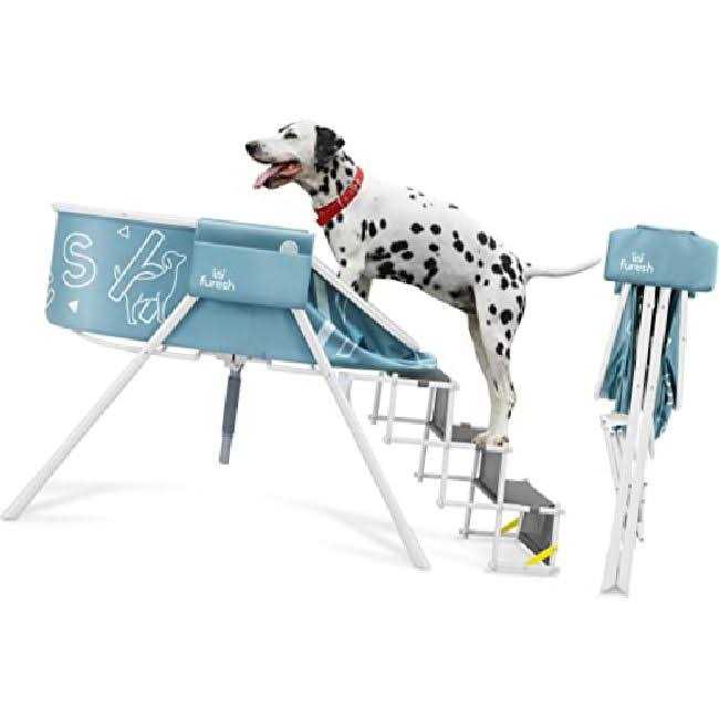 Big Dog Bath Tub with Stairs B52397