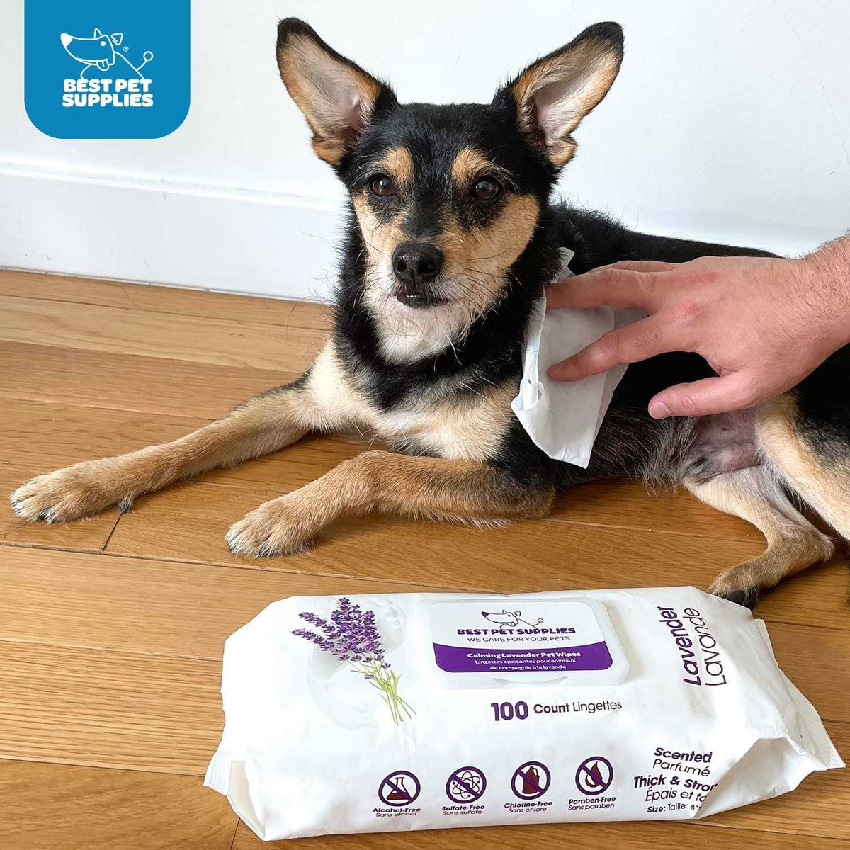 Plant-Based Pet Grooming Wipes G4047