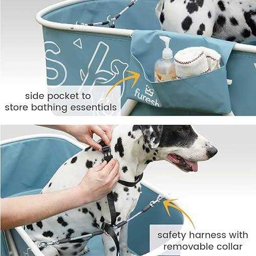 Big Dog Bath Tub with Stairs B52397