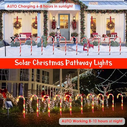 20 Pack Solar Candy Cane Lights R88824