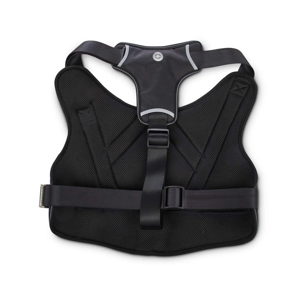 Big Black Dog Harness F279529