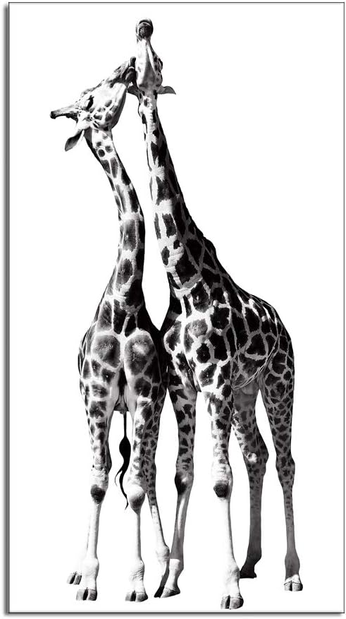 Black and White Giraffe Canvas Prints Gallery Wrapped Painting 20 x 36 Inch N771