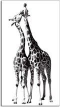 Black and White Giraffe Canvas Prints Gallery Wrapped Painting 20 x 36 Inch N771