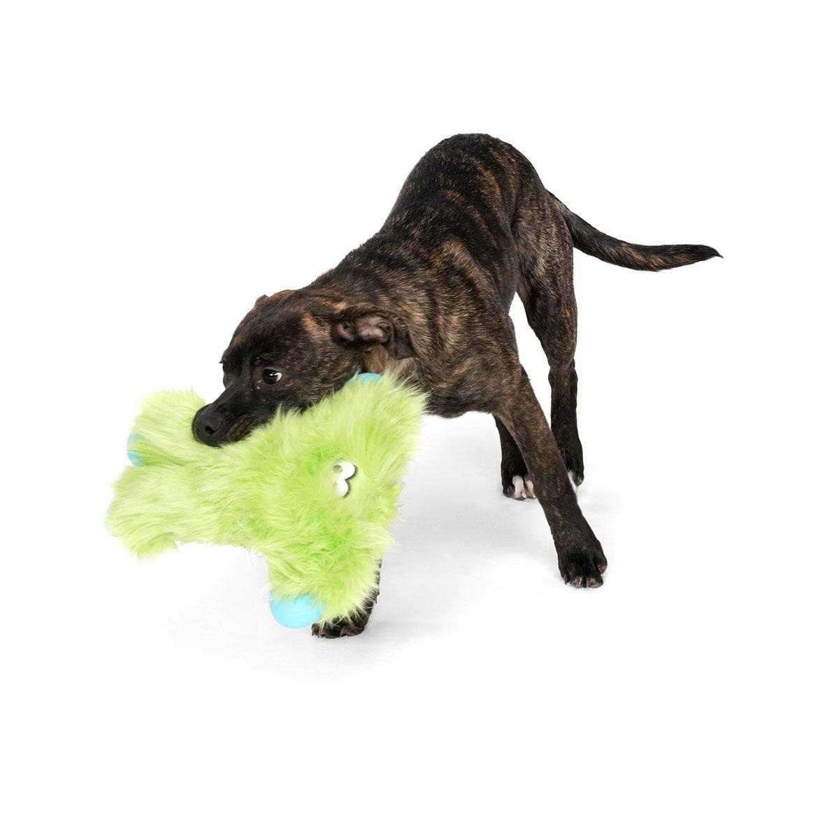 Dog Toy H13584