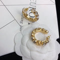 Earrings F147