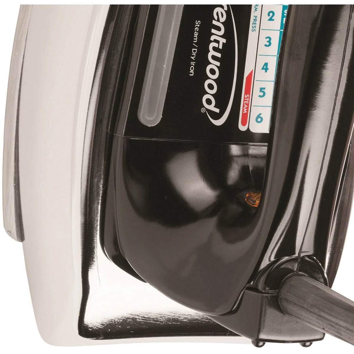 Steam and Spray Iron V5947