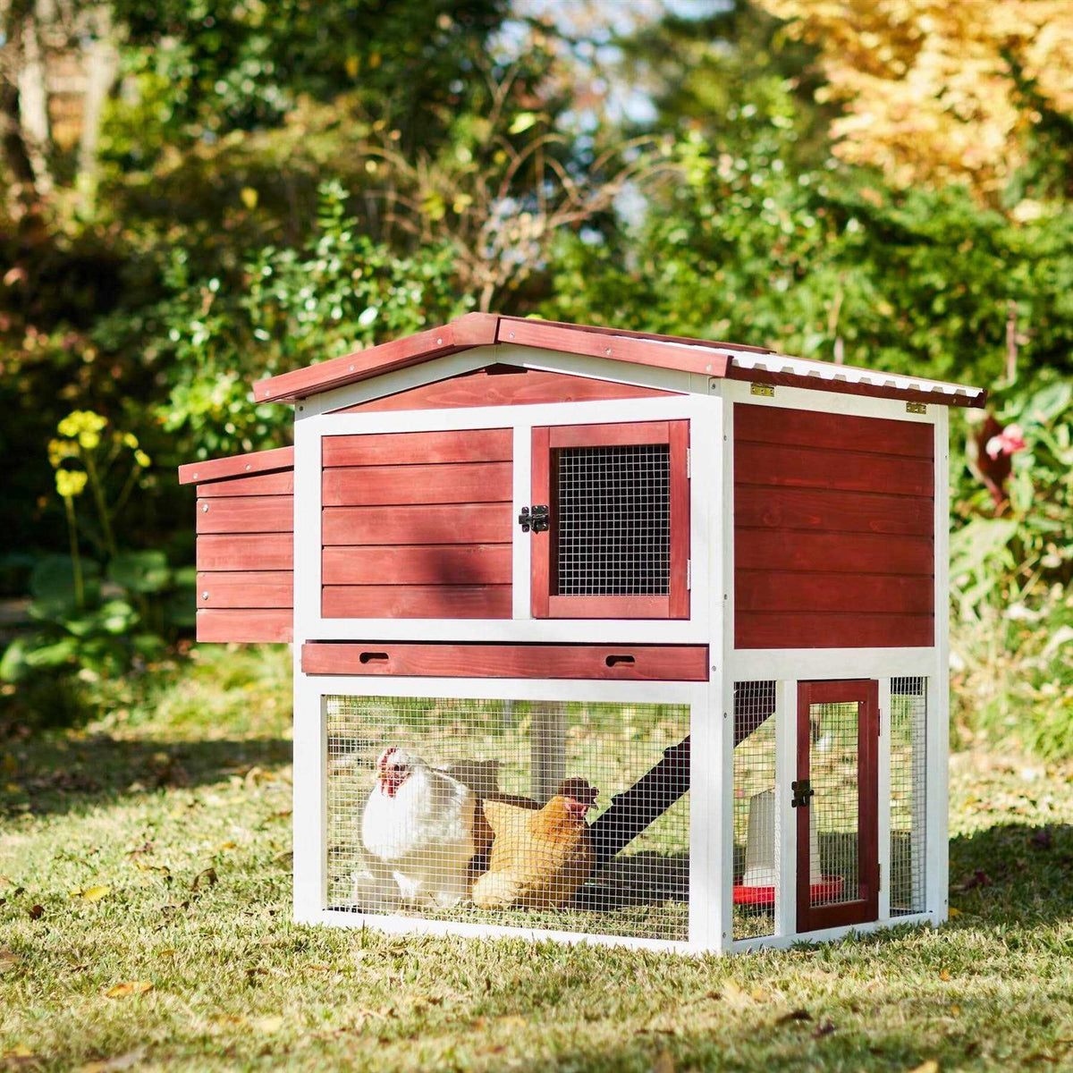 Wooden Outdoor Chicken Coop H71529