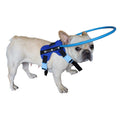 Blind Dog Harness Guiding Device Z631631