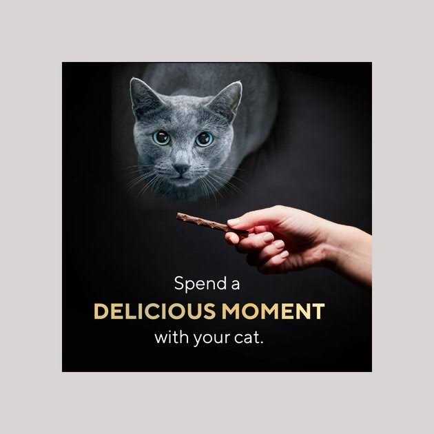 Cat Treats N164
