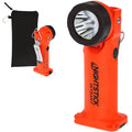 Intrinsically Safe Angle Dual-Light F54991