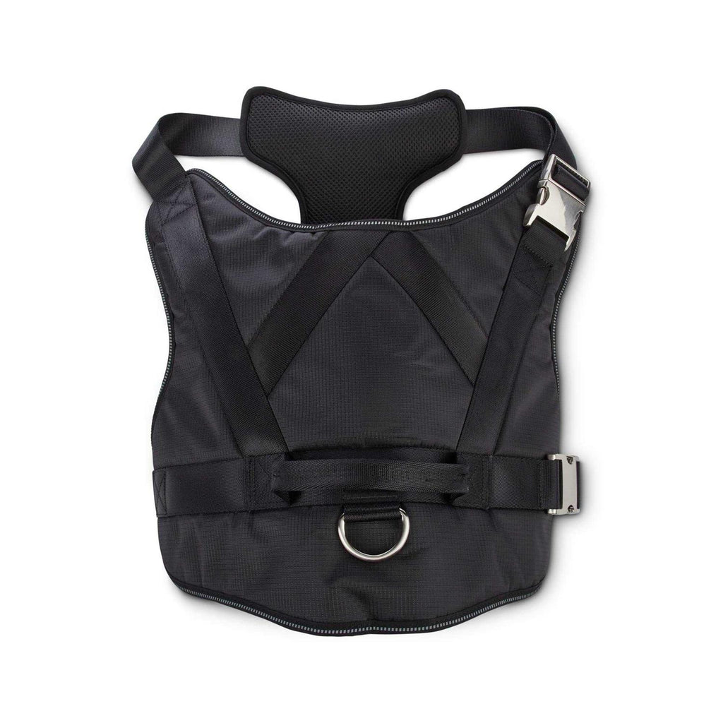 Big Black Dog Harness F279529
