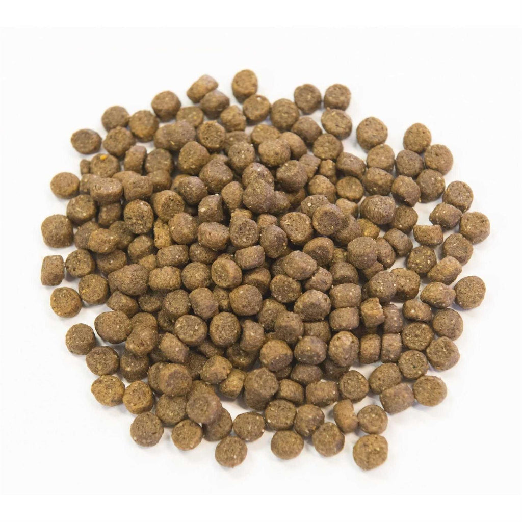 Ancient Grains with Chicken Dog Food V978