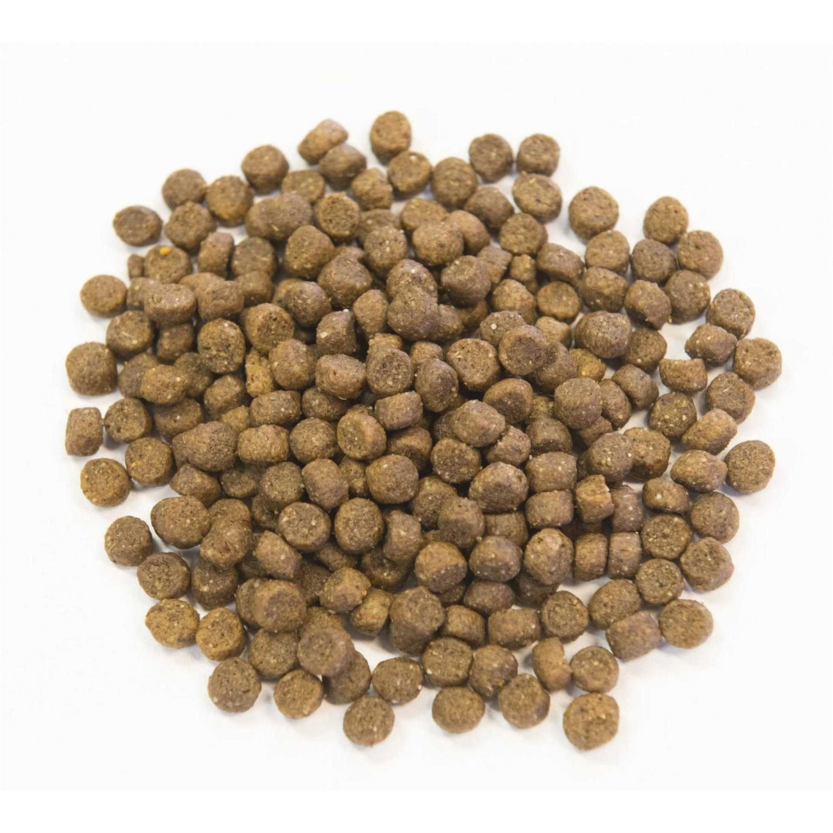 Ancient Grains with Chicken Dog Food V978
