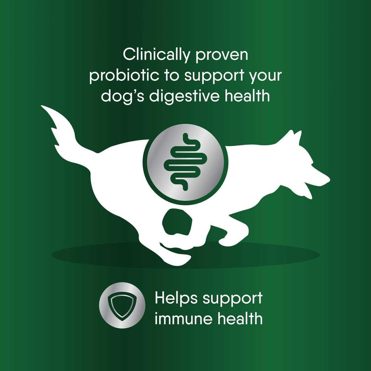 Probiotic Supplement Powder for Dogs N346