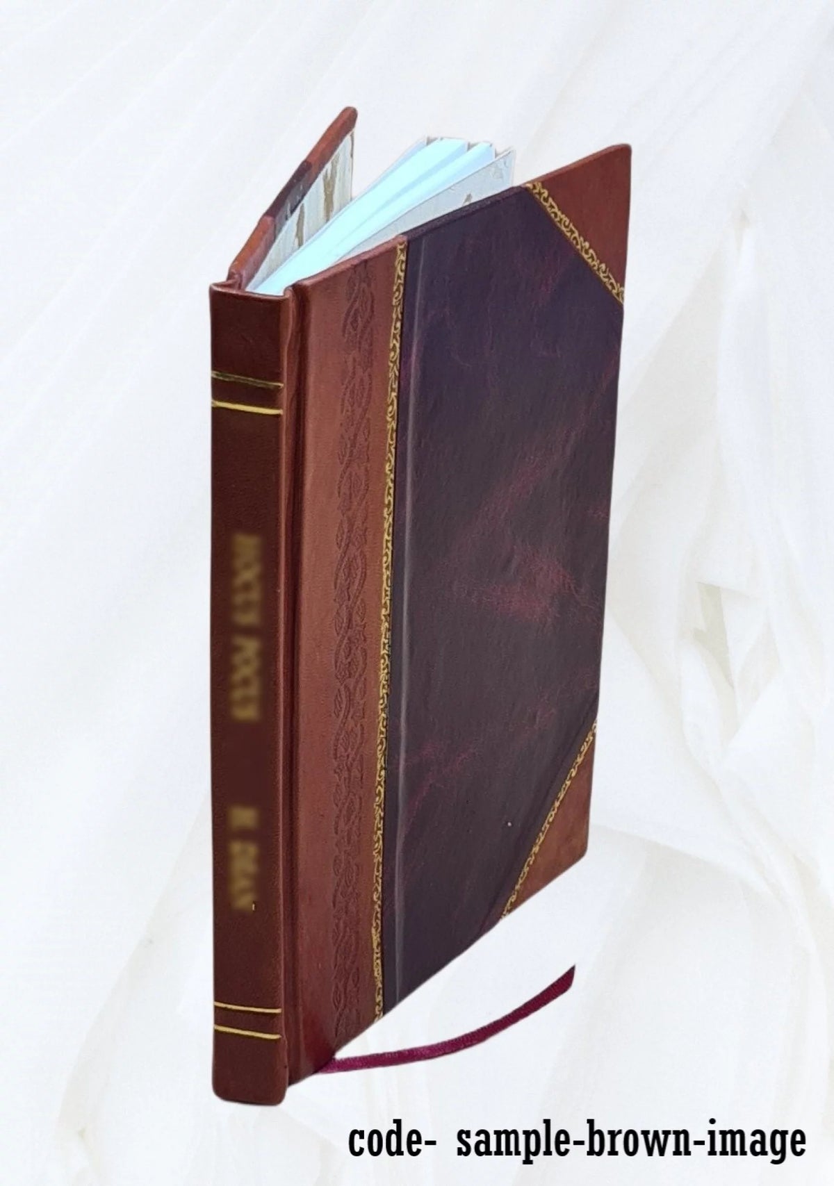 American Shipping History Leather Bound G93023