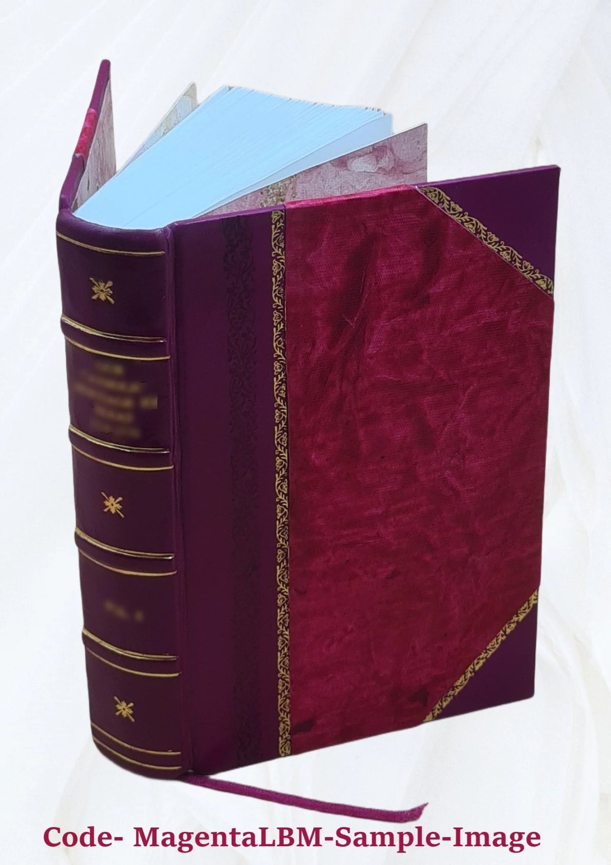 Leather Bound G46016