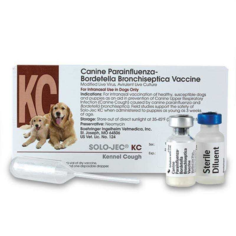 Intranasal Vaccine M6007