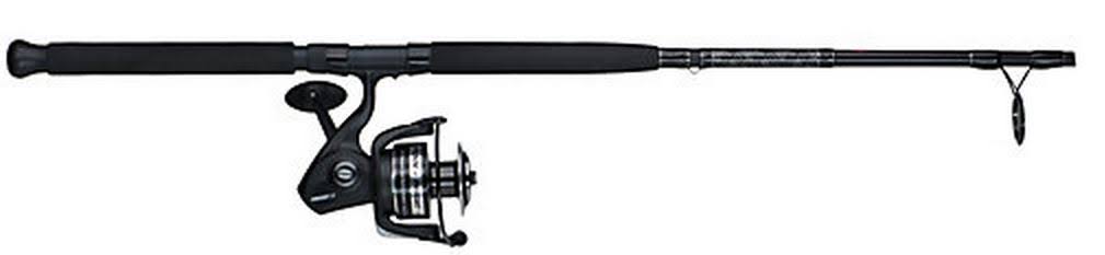 Penn Pursuit II Combo J1458