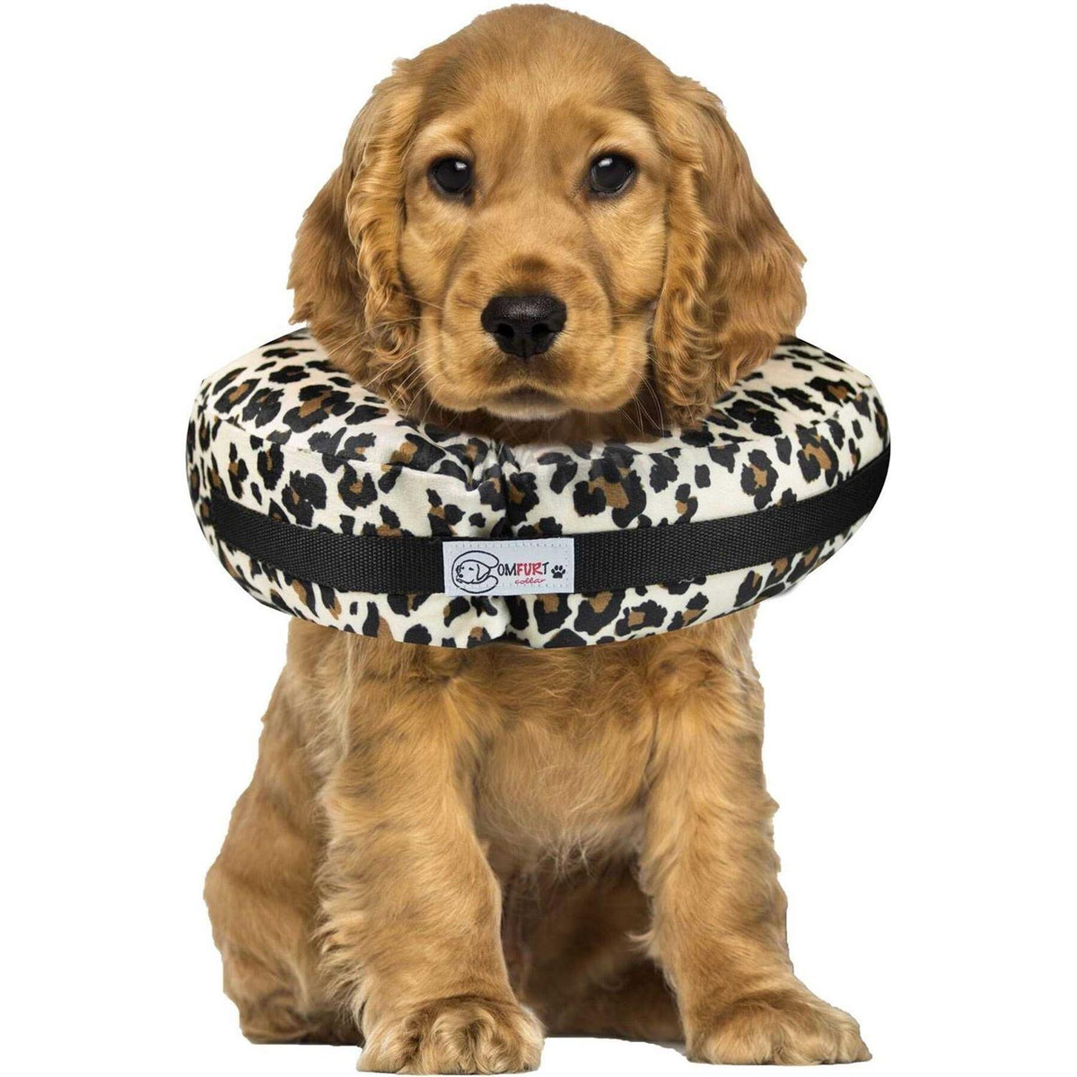 Dog & Cat Recovery Collar M892
