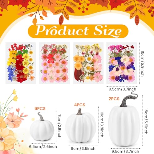 12 Pcs White Artificial Pumpkin and 140 Pcs Dried Flowers DIY Crafts Kit N81715