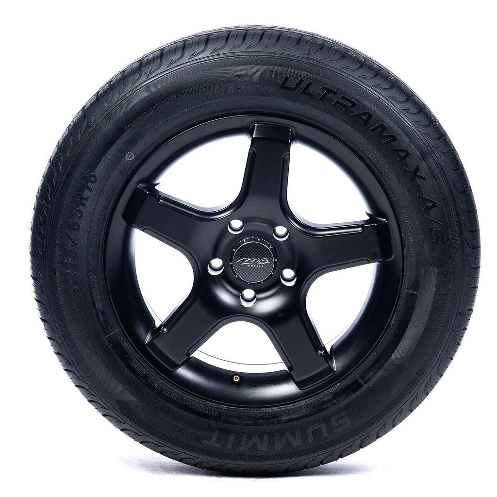 225/65R16 100H All-Season Tire H15220