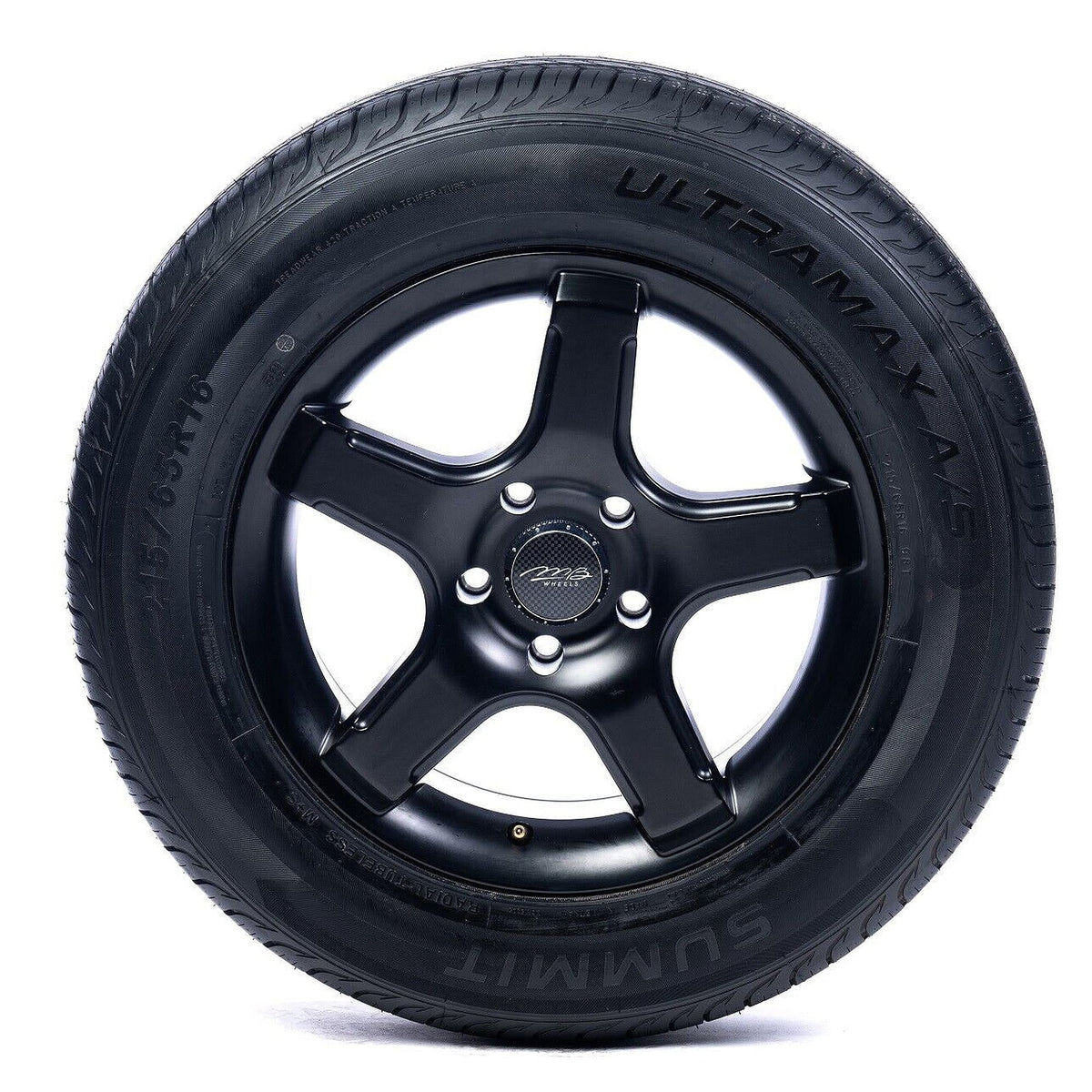 225/65R16 100H All-Season Tire H15220